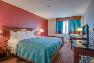 Vagabond Inn Executive Hayward - Vagabond Inn Executive - King Bed Room