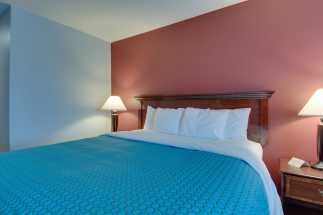 Vagabond Inn Executive Hayward - Vagabond Inn Executive - King Bed