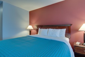 Vagabond Inn Executive Hayward - Brand new King Size beds for your sleeping comfort