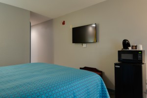 Vagabond Inn Executive Hayward - All rooms feature flat screen TVs