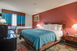 1 King Bedroom at Vagabond Executive Inn Hayward